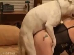 In this sultry, brutal pornographic movie, a dog powerfully screws a sultry, fresh-faced married skank.
